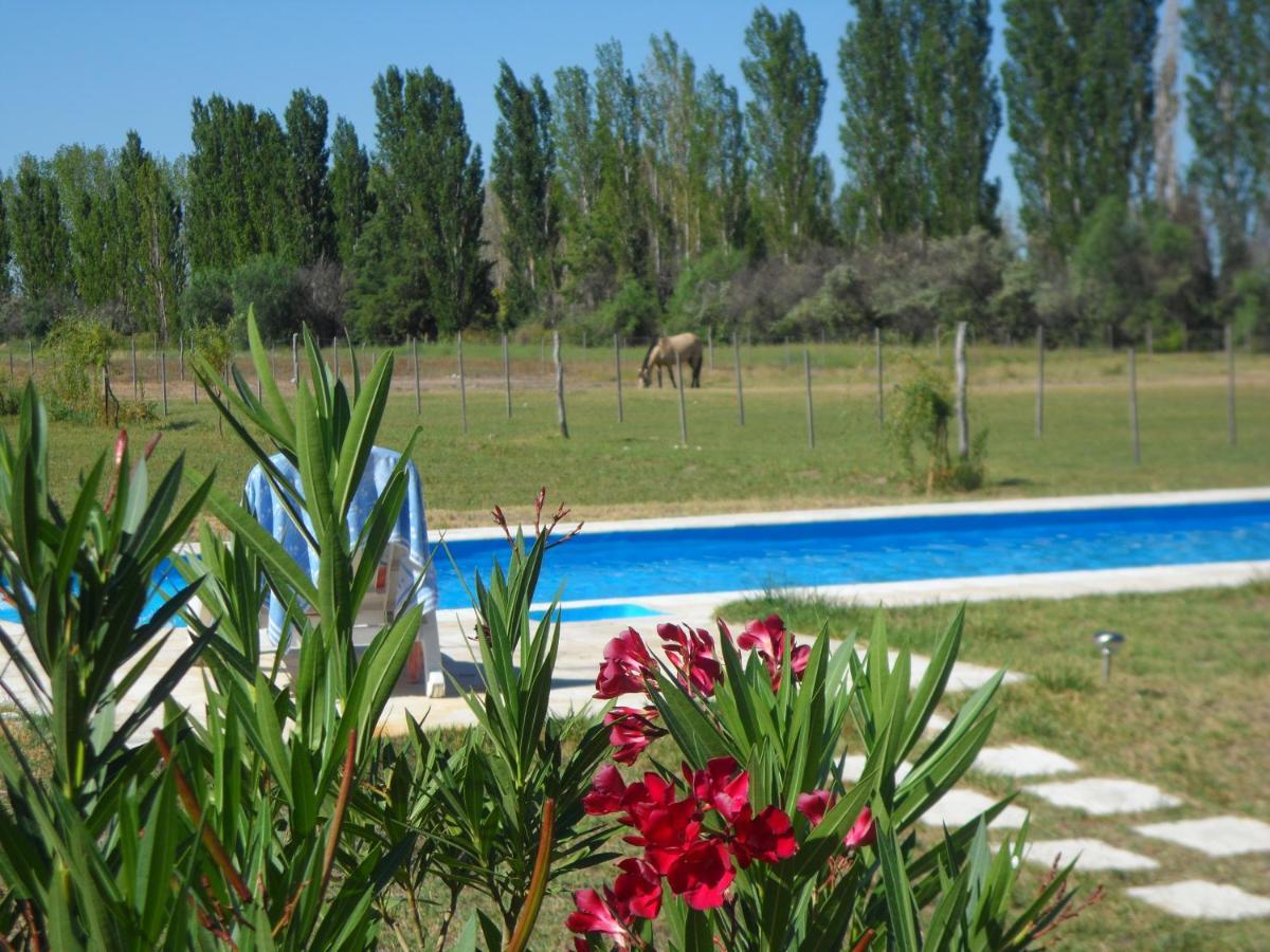 Casa De Campo Las Olivas San Rafael  Esterno foto