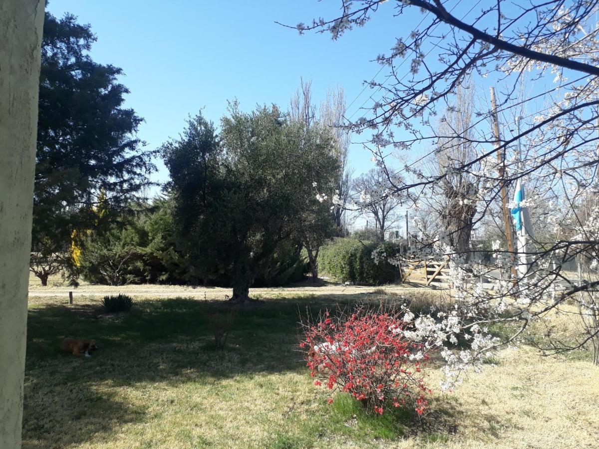 Casa De Campo Las Olivas San Rafael  Esterno foto