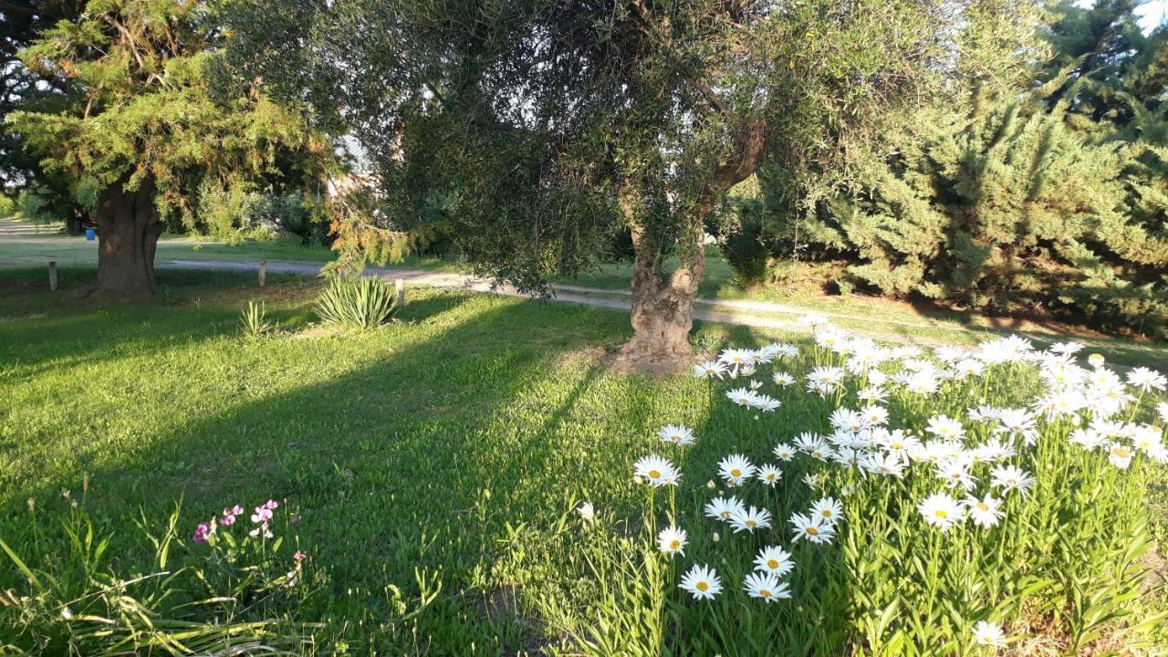 Casa De Campo Las Olivas San Rafael  Esterno foto