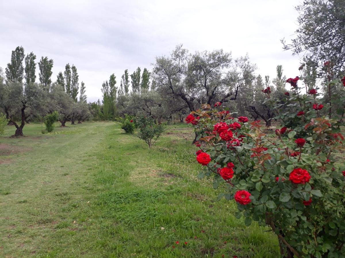Casa De Campo Las Olivas San Rafael  Esterno foto